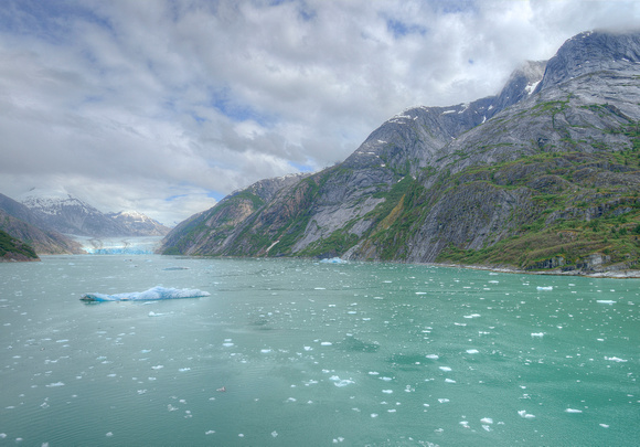 Fjord to Endicott Glacier 062014
